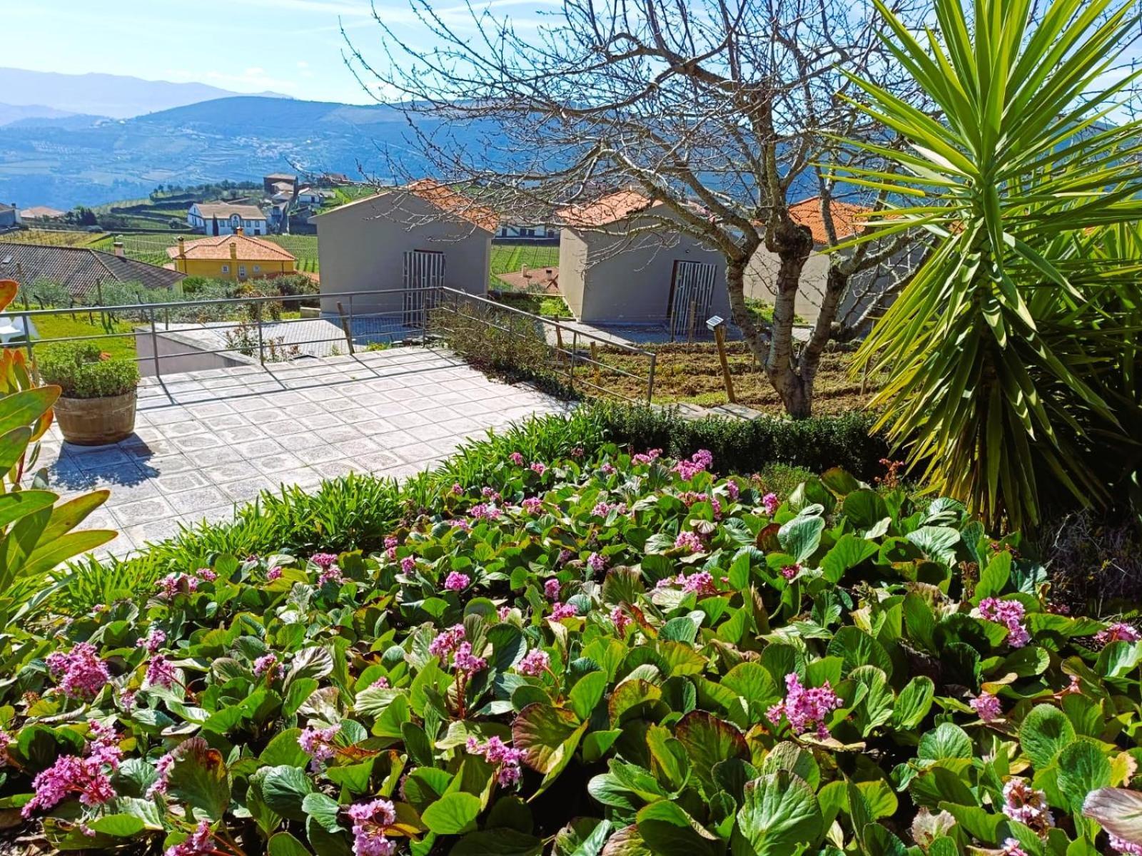 Quinta Manhas Douro Guest House Provesende Exterior photo